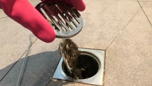 Drain Unblocking Services